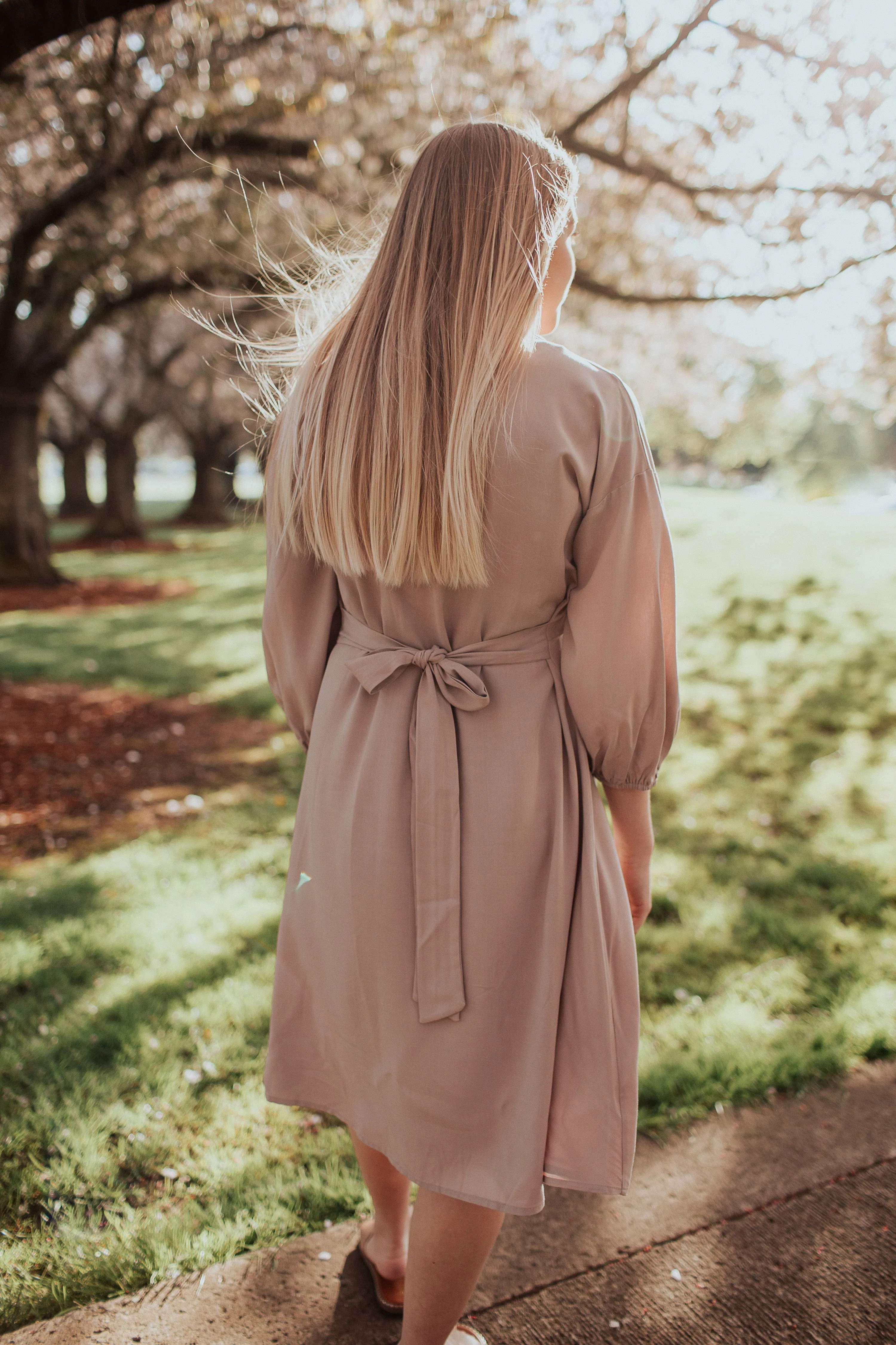 Collette Button Down Dress